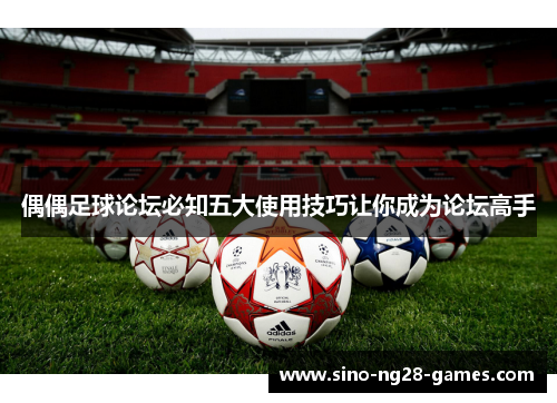 偶偶足球论坛必知五大使用技巧让你成为论坛高手
