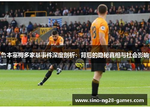 鲁本塞梅多家暴事件深度剖析：背后的隐秘真相与社会影响