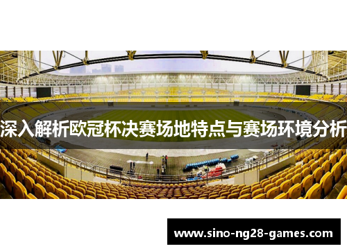 深入解析欧冠杯决赛场地特点与赛场环境分析