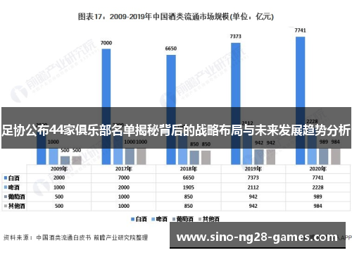 足协公布44家俱乐部名单揭秘背后的战略布局与未来发展趋势分析
