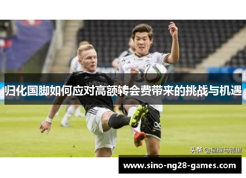 归化国脚如何应对高额转会费带来的挑战与机遇